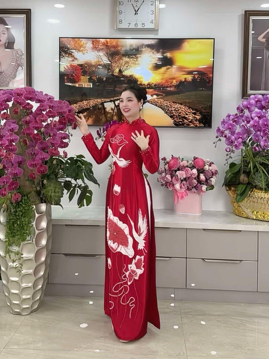 Ao dai nu