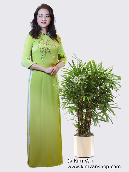 SIM-1: Ao Dai dinh nhe, đơn gian.